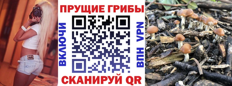 Псилоцибиновые грибы мухоморы  Вилюйск 